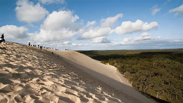 paysages-foret-dune-pilat-panorama-dingovelo2s